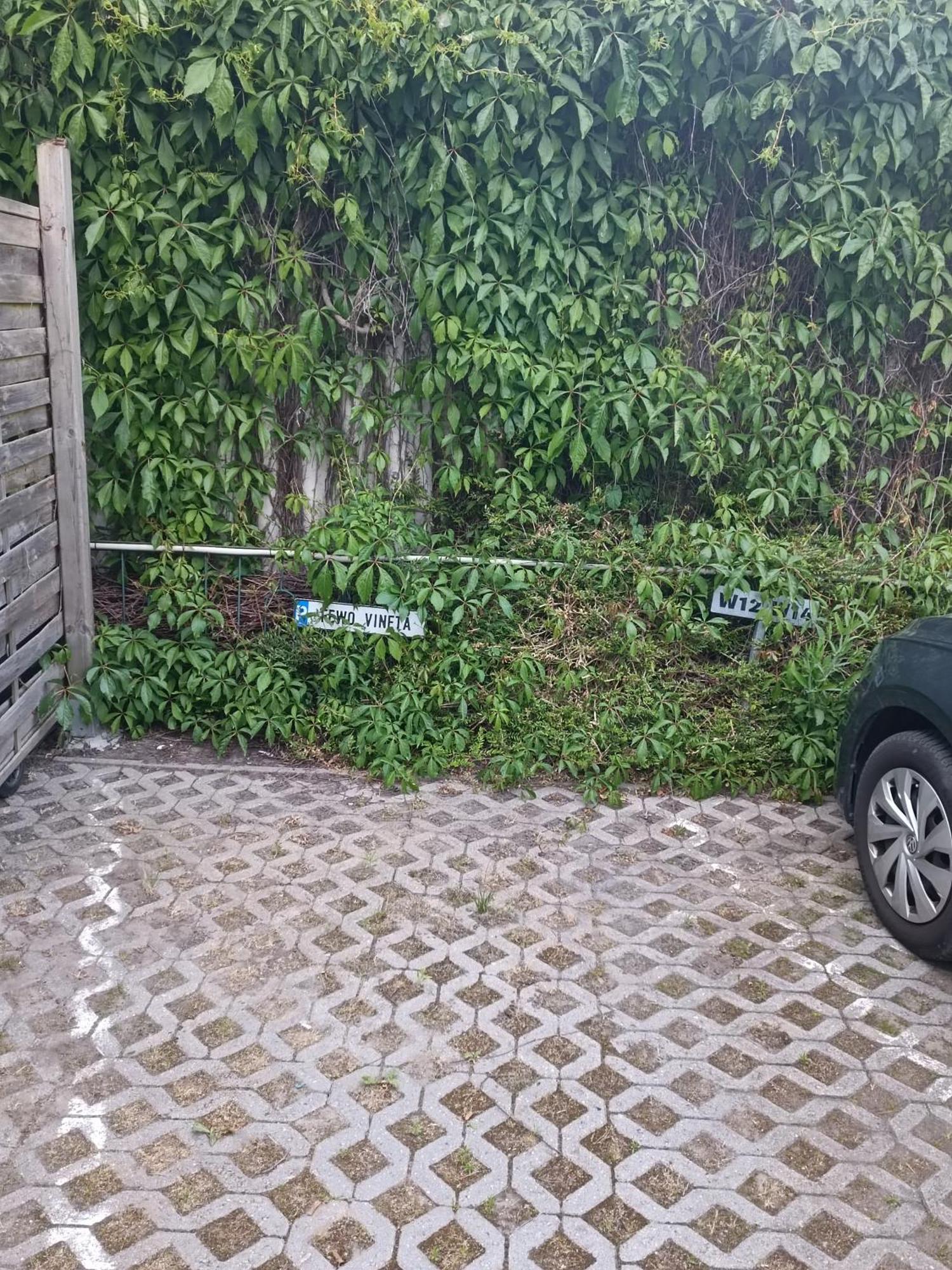 Fewo Vineta Μπαρθ Εξωτερικό φωτογραφία